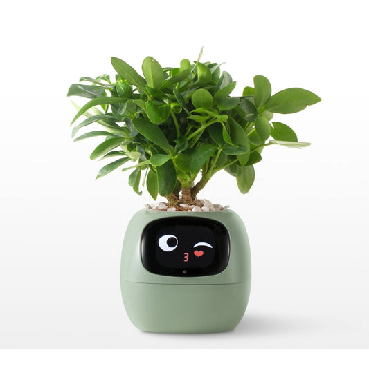 Smart AI Planter Pot – App-Controlled Self-Watering Planter