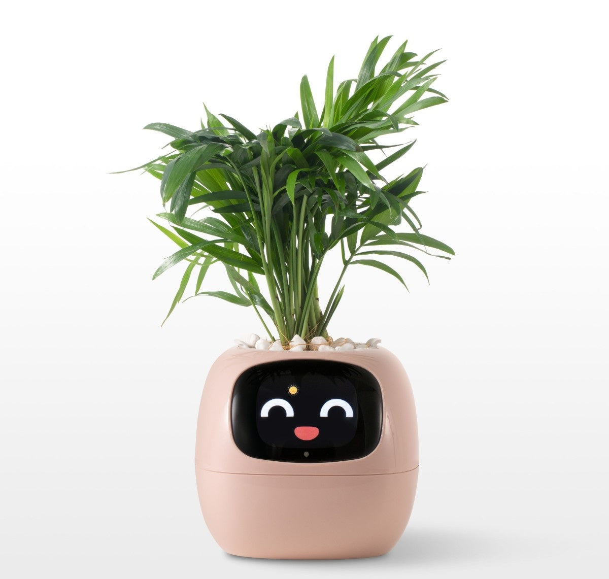 Smart AI Planter Pot – App-Controlled Self-Watering Planter