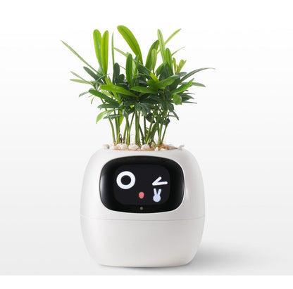 Smart AI Planter Pot – App-Controlled Self-Watering Planter