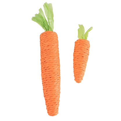 Carrot Cat Toy Interactive Kitten Chew Toy