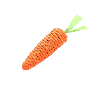 Carrot Cat Toy Interactive Kitten Chew Toy