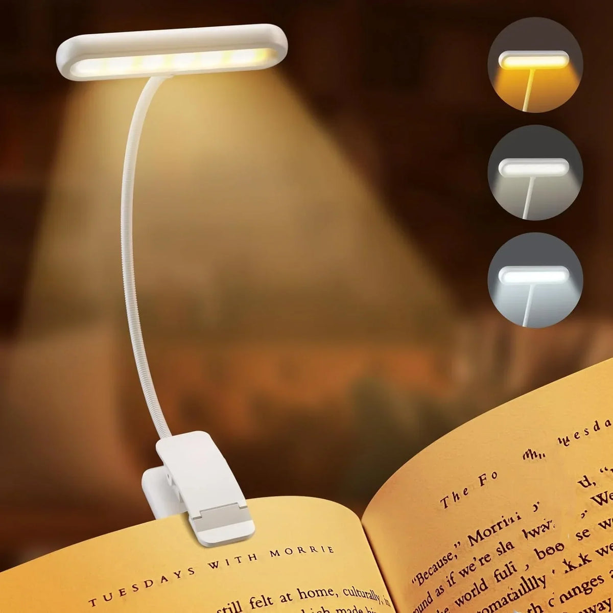 Rechargeable Book Lamp