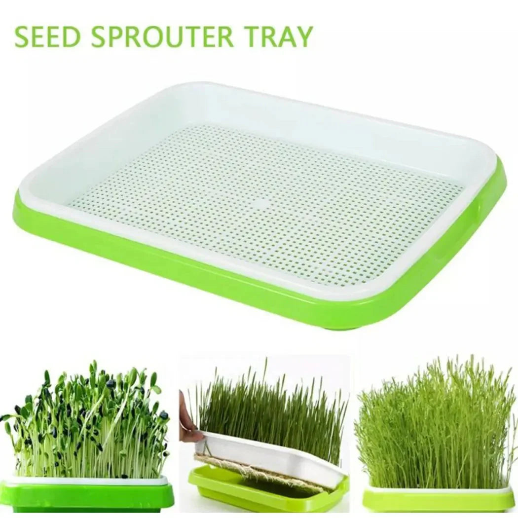 Germination Tray 2-Layer System for Microgreens and Sprouts