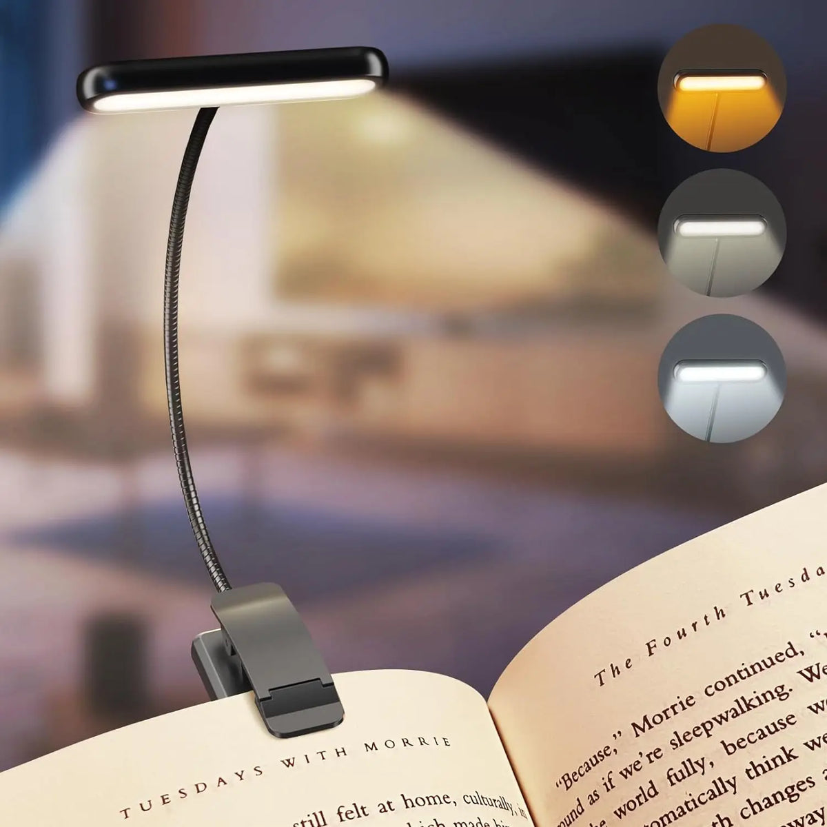 Rechargeable Book Lamp