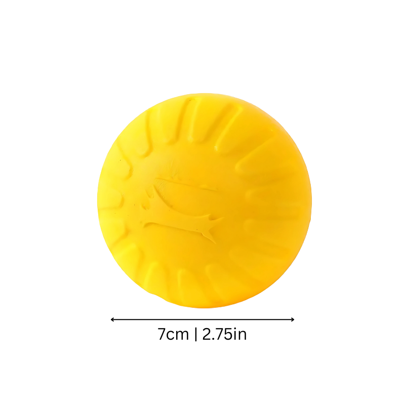 Dog Frisbee Toy - Floating Outdoor Fetch Disc
