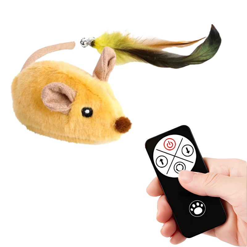 RC Cat Toy Moving Bug LED Interactive Toy