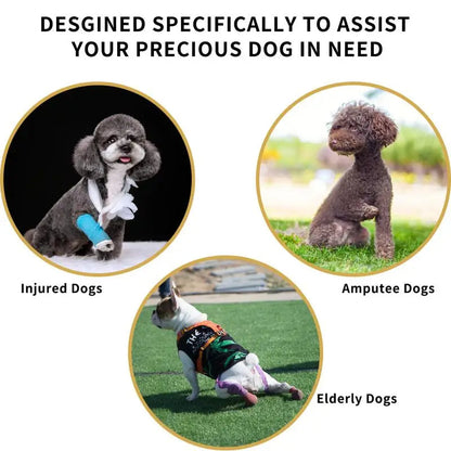 Adjustable Dog Lift Harness for Mobility Support product image 10