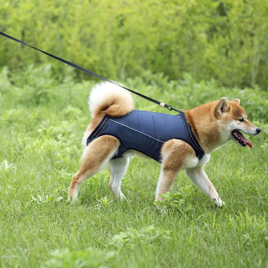 Adjustable Dog Lift Harness for Mobility Support product image 13