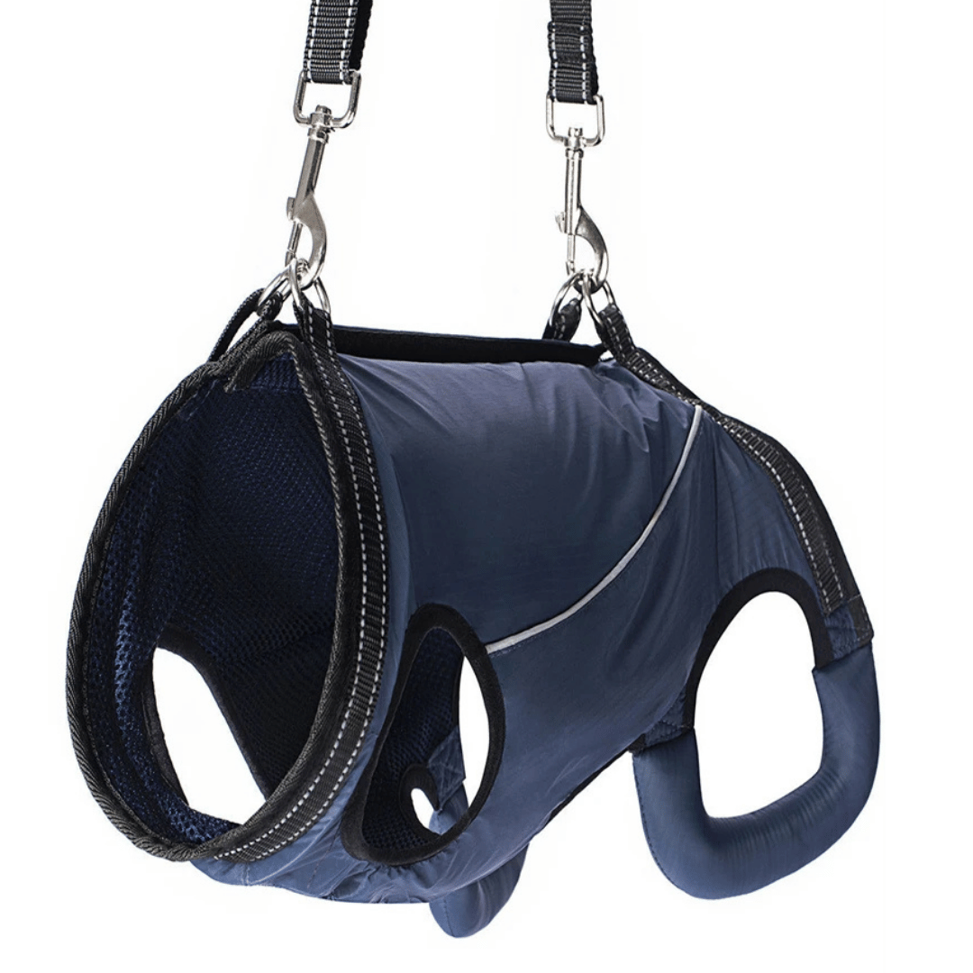 Adjustable Dog Lift Harness for Mobility Support product image 16