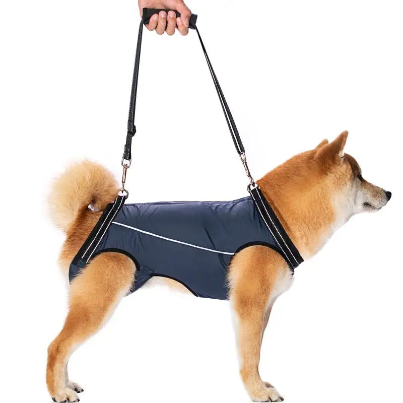 Adjustable Dog Lift Harness for Mobility Support