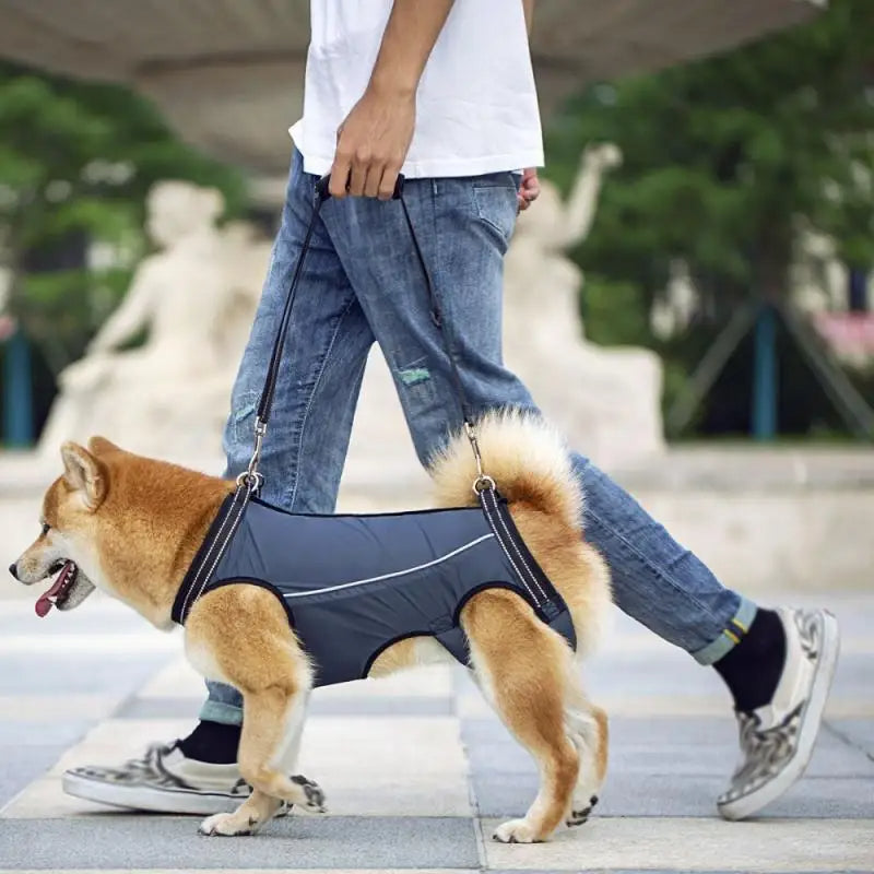 Adjustable Dog Lift Harness for Mobility Support product image 6