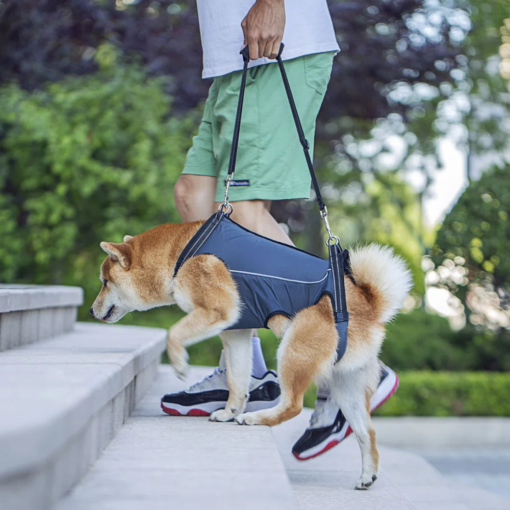 Adjustable Dog Lift Harness for Mobility Support product image 7