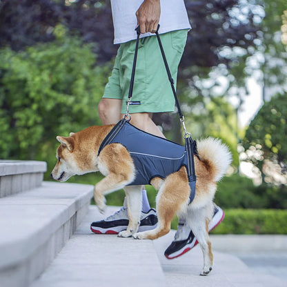 Adjustable Dog Lift Harness for Mobility Support product image 7