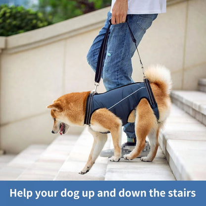 Adjustable Dog Lift Harness for Mobility Support product image 9