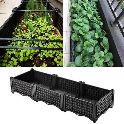 Raised Planting Container – Drainage Propagation Box