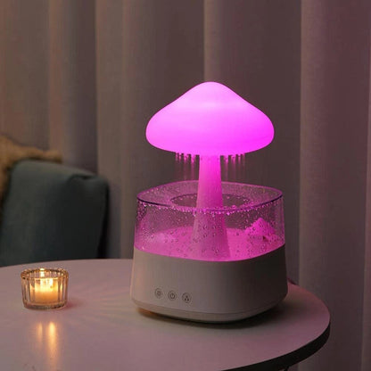 Aromatherapy Diffuser and Humidifier