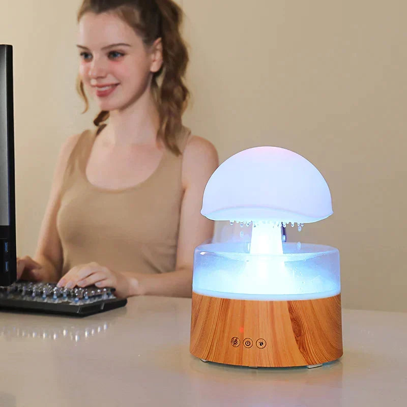 Aromatherapy Diffuser and Humidifier