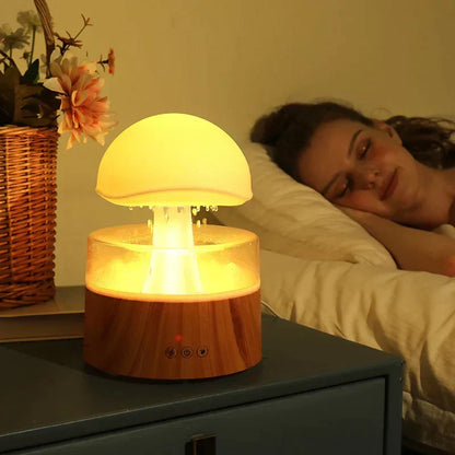 Aromatherapy Diffuser and Humidifier