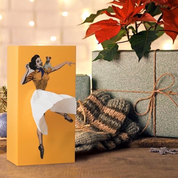 Creative Skirt Tissue Box Decorative Holder