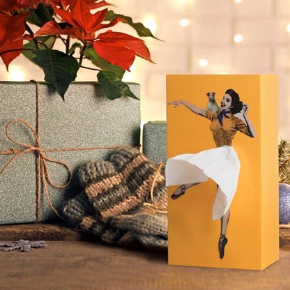 Creative Skirt Tissue Box Decorative Holder