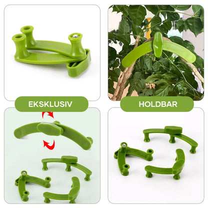 Plant Growth Aid – Adjustable Support for Healthier Plant Care