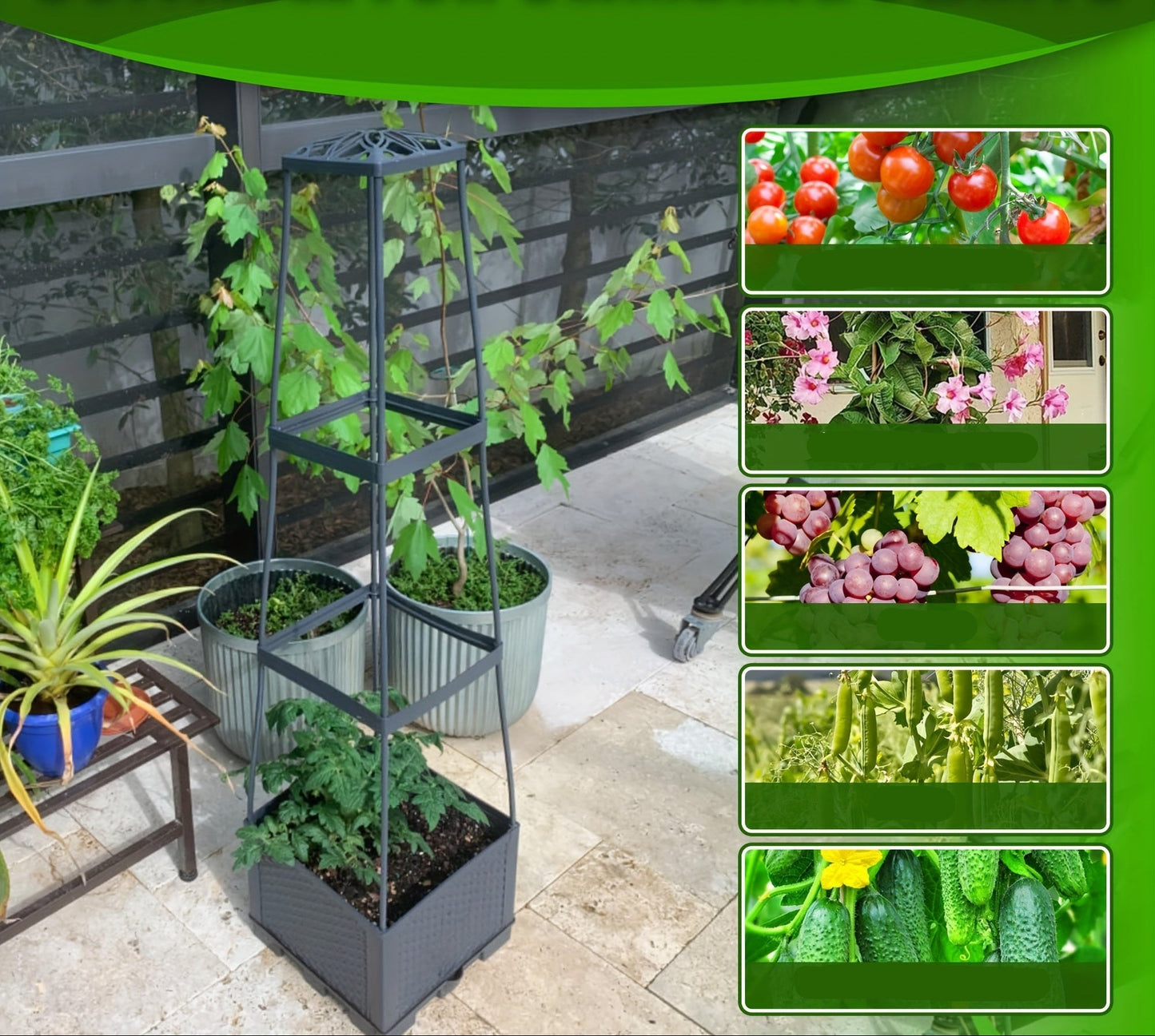 Self-Watering Tomato Planter with Trellis Box