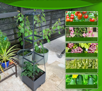 Self-Watering Tomato Planter with Trellis Box