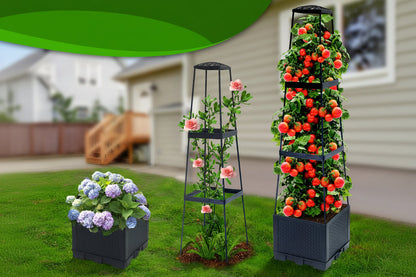 Self-Watering Tomato Planter with Trellis Box