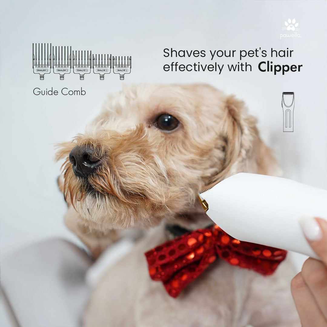 Pet Grooming Vacuum Kit – 5 Tools with 2.5L Dust Cup