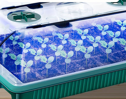 Seed Starter Trays with LED Grow Lights – 80 Cell Kit