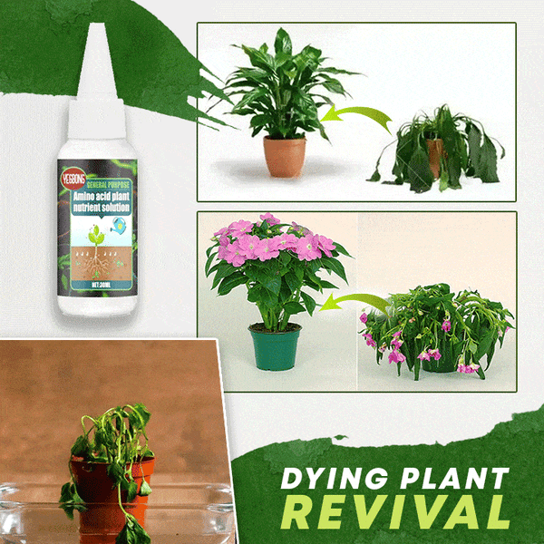Plant Fertilizer Organic Formula with Amino Acids – 30ml