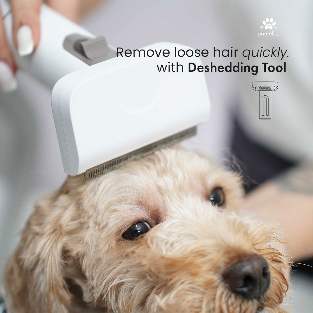 Pet Grooming Vacuum Kit – 5 Tools with 2.5L Dust Cup