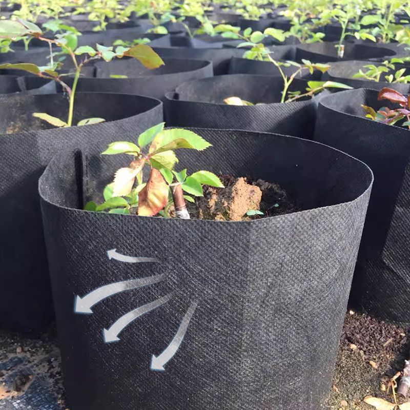 Felt Fabric Planting Bag – Breathable for Healthy Roots
