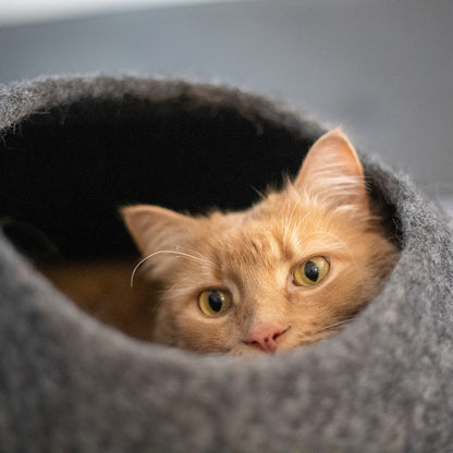 Felt Cat Cave image 11