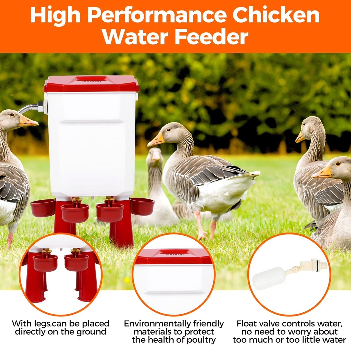 Automatic Chicken Waterer for Poultry