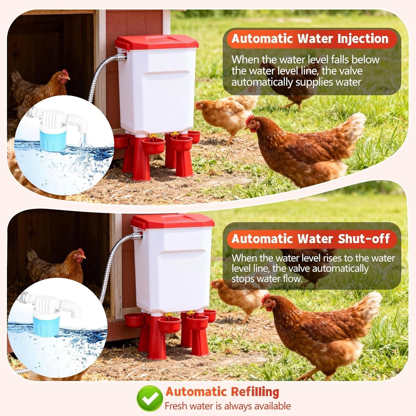 Automatic Chicken Waterer for Poultry