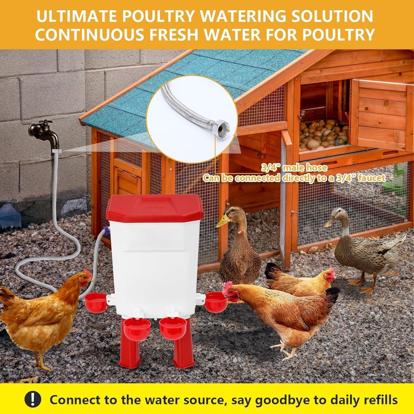 Automatic Chicken Waterer for Poultry