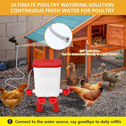 Automatic Chicken Waterer for Poultry