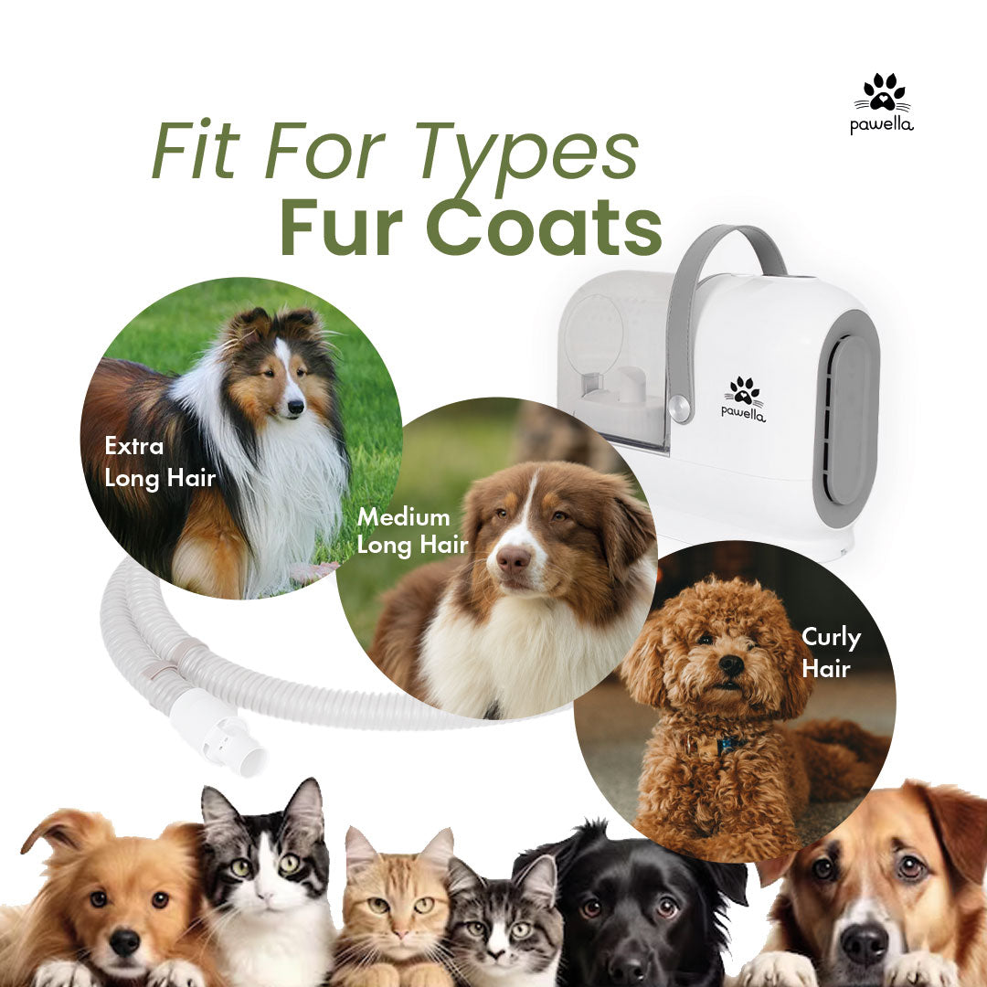 Pet Grooming Vacuum Kit – 5 Tools with 2.5L Dust Cup