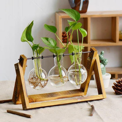 Glass Terrarium Plant Vase – Wooden Frame Planter
