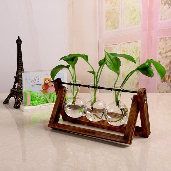 Glass Terrarium Plant Vase – Wooden Frame Planter