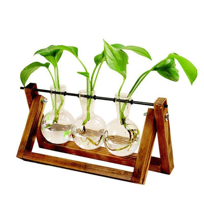 Glass Terrarium Plant Vase – Wooden Frame Planter