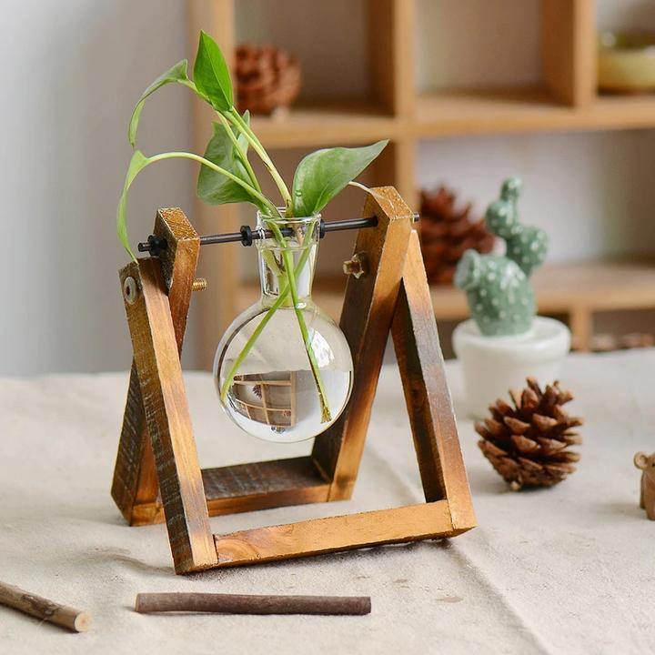 Glass Terrarium Plant Vase – Wooden Frame Planter