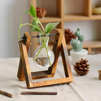 Glass Terrarium Plant Vase – Wooden Frame Planter