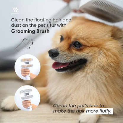 Pet Grooming Vacuum Kit – 5 Tools with 2.5L Dust Cup