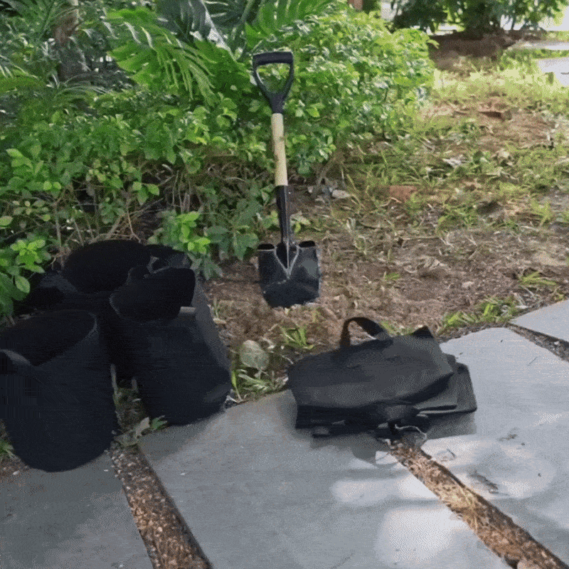 Heavy-Duty Reusable Fabric Planters image 2