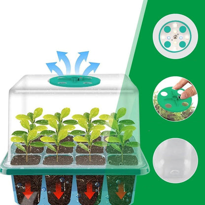 Seed Starter Tray with Grow Light – Nursery Pot