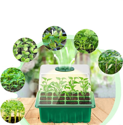 Seed Starter Tray with Grow Light – Nursery Pot