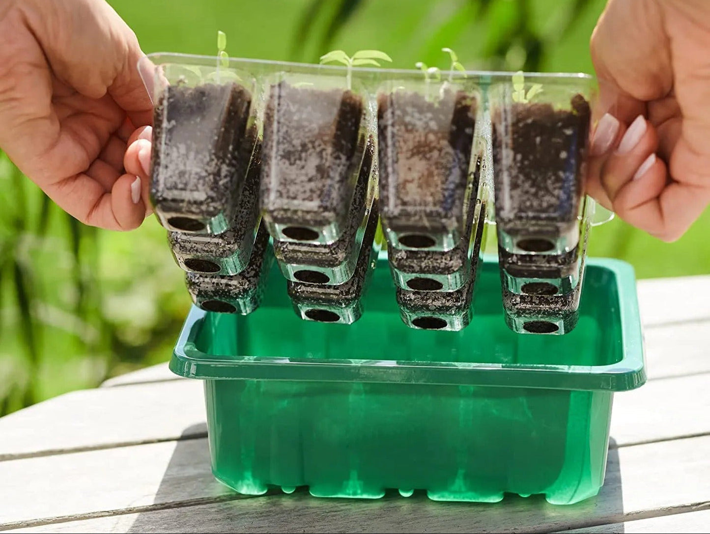 Seed Starter Tray with Grow Light – Nursery Pot