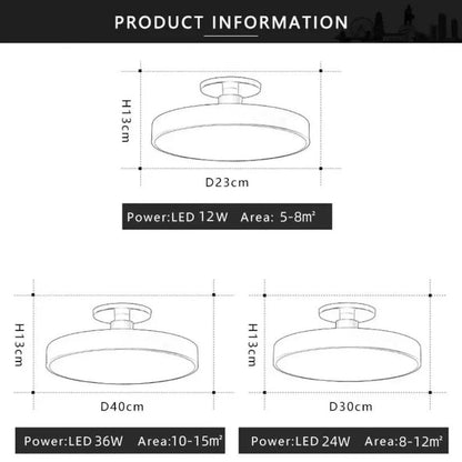 Modern LED Ceiling Light Fixture for Indoor Lighting